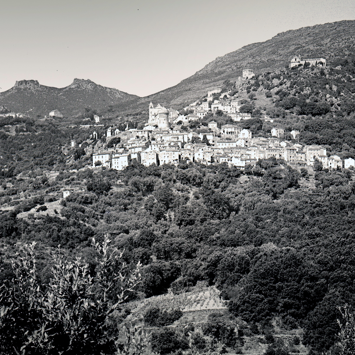 Tour génoise de Rogliano